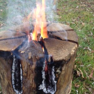 Fire Logs
